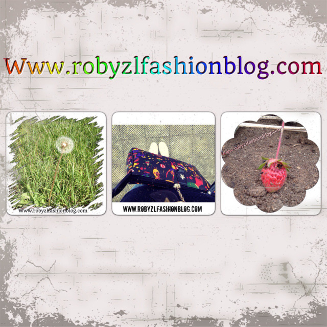 strawberries-flower-fruits-robyzl-serendipity-piero guidi-collage