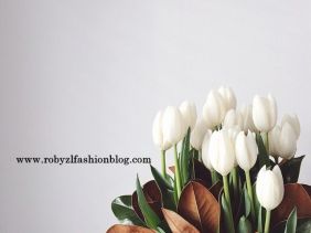 Tulipani_flower_monday_robyzl_serendipity